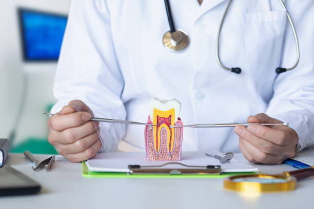 Professional Emergency Dental Service in VT